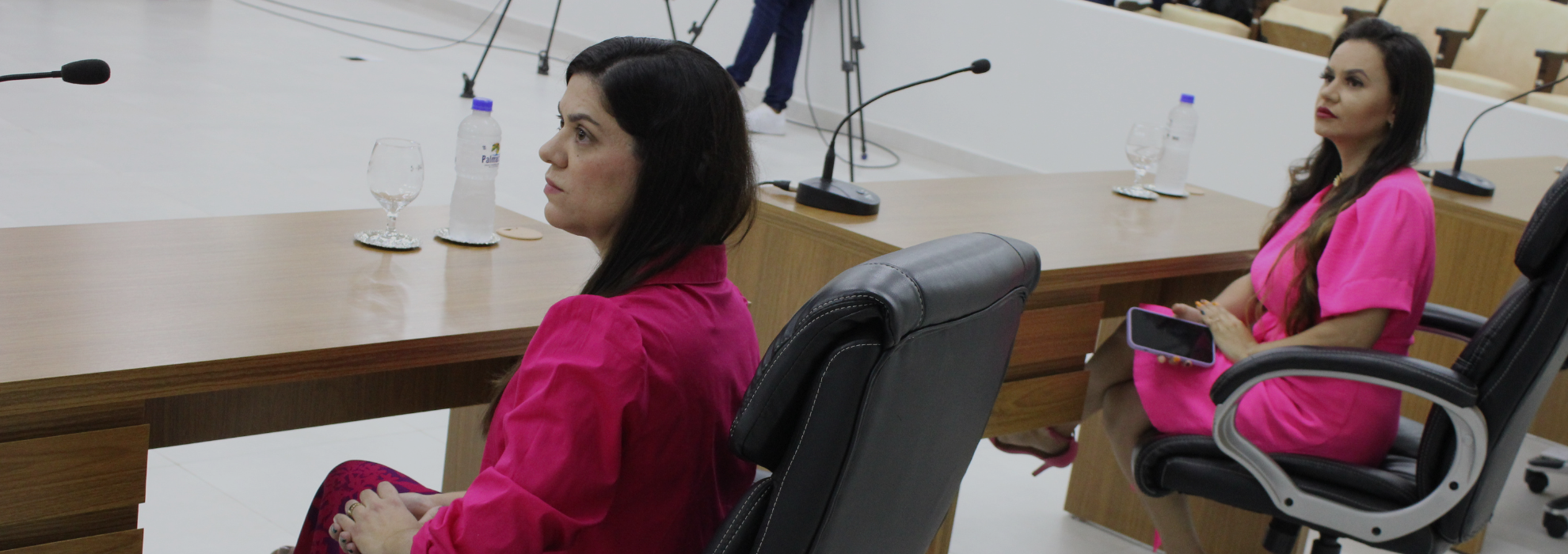 Câmara entrega título Mulher Destaque em noite festiva