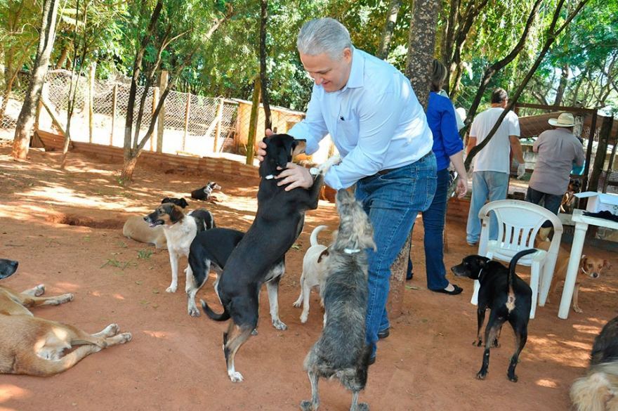 Autor de quatro Leis sobre o tema, Salata vem atuando fortemente na defesa da causa animal
