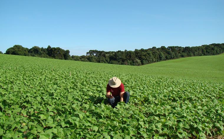 Câmara promove ato solene em homenagem ao Dia do Agricultor