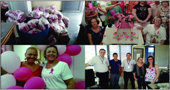 Vereadora Cristina Reale faz um balanço da campanha Outubro Rosa no seu fechamento